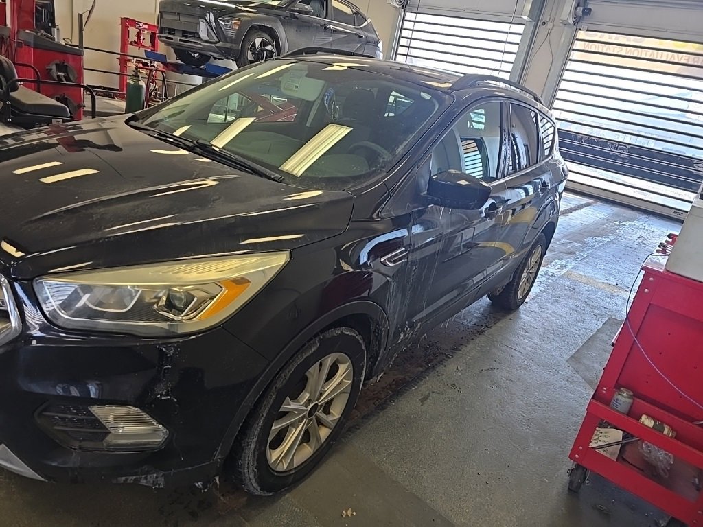 Used 2017 Ford Escape SE w/ Equipment Group 201A image 2