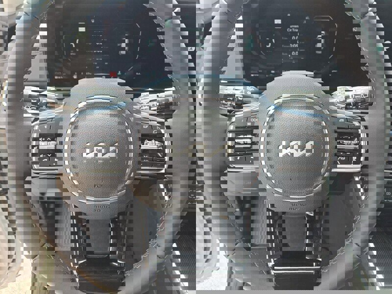 New 2025 Kia Carnival SX Prestige image 13