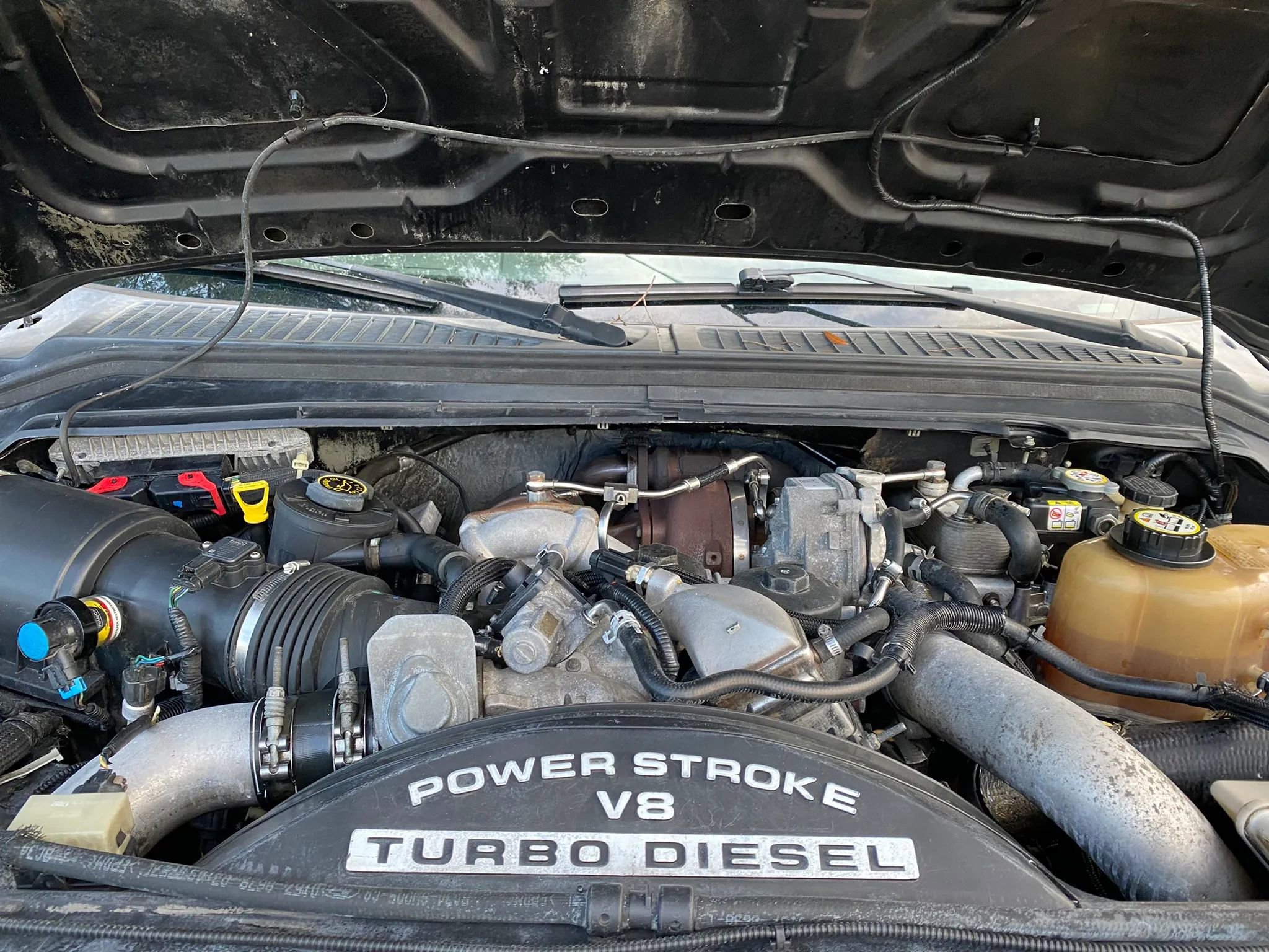 Used 2008 Ford F250 King Ranch AWD/4WD image 3
