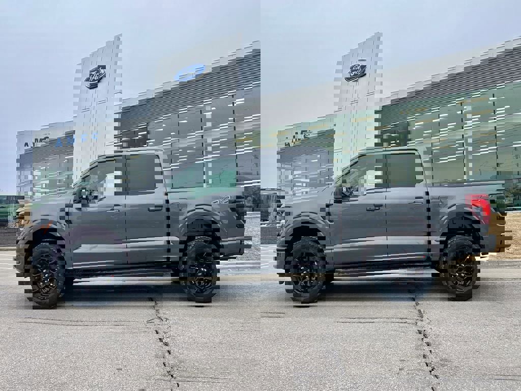 New 2026 Ford F150 XLT w/ Equipment Group 302A MID image 3