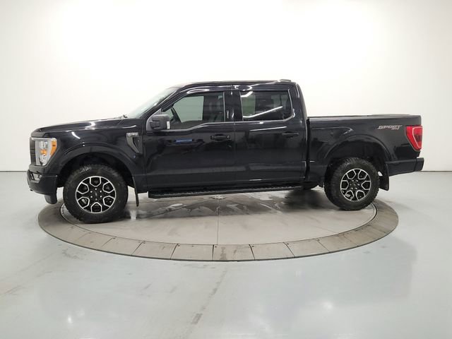 Used 2023 Ford F150 XLT w/ Equipment Group 302A High AWD/4WD image 4