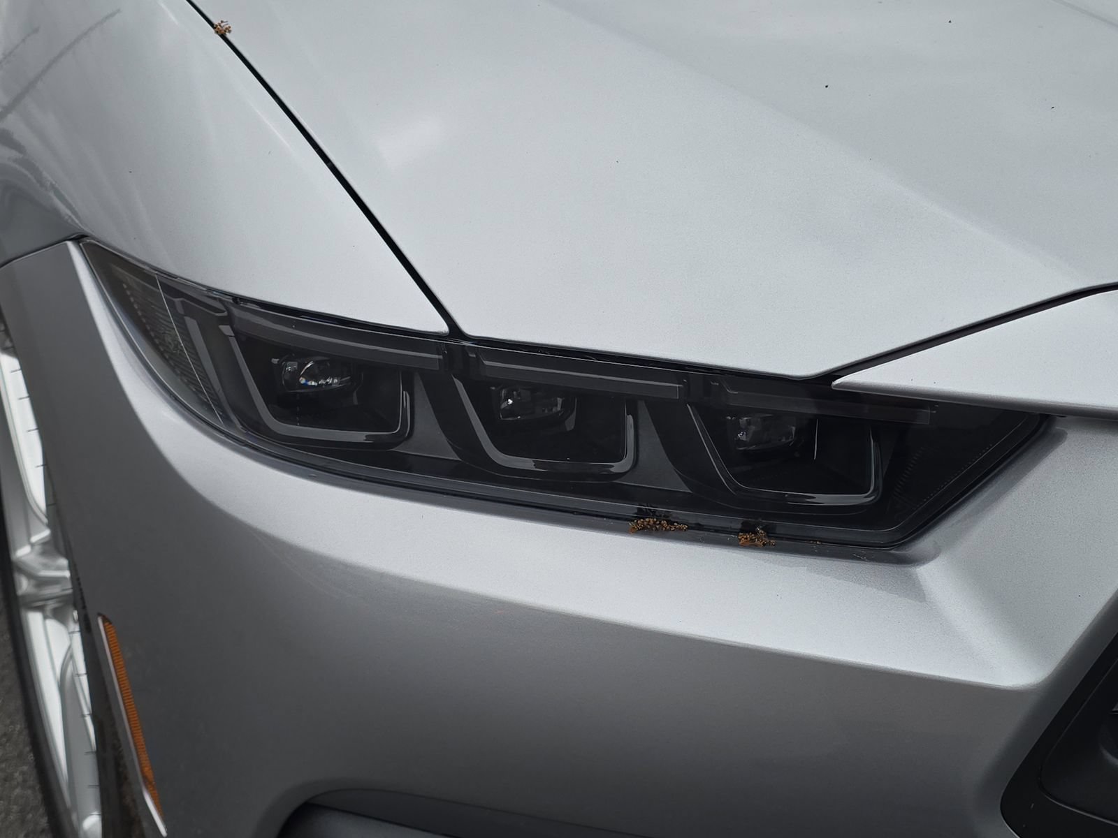 New 2026 Ford Mustang Premium RWD image 7