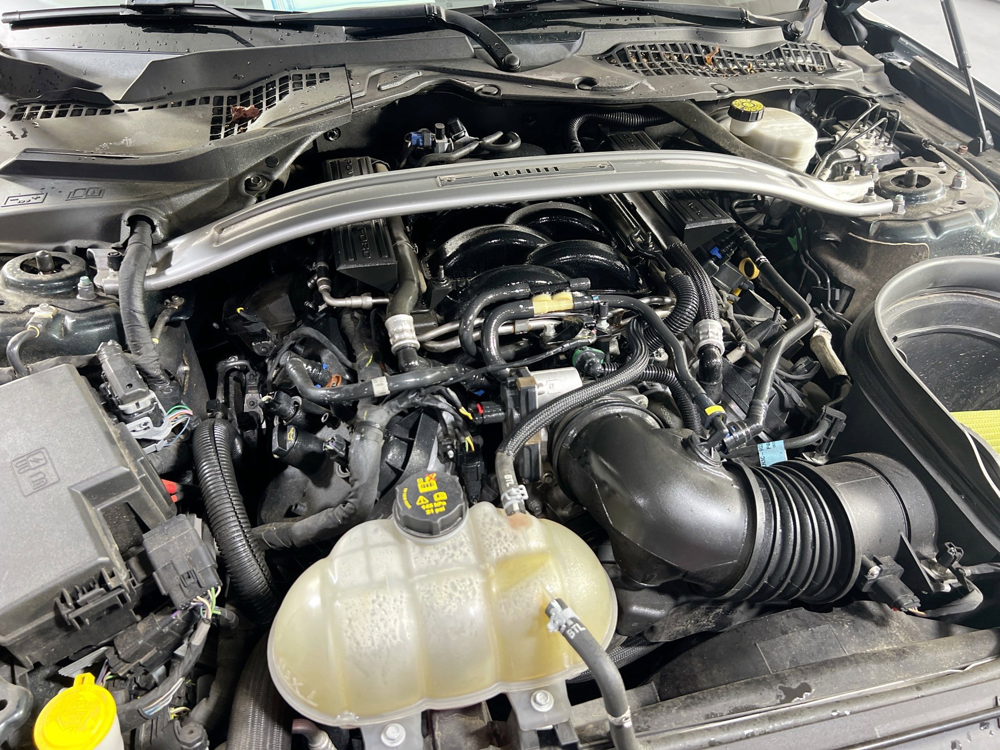 Used 2019 Ford Mustang Bullitt w/ Bullitt Electronics Package image 28