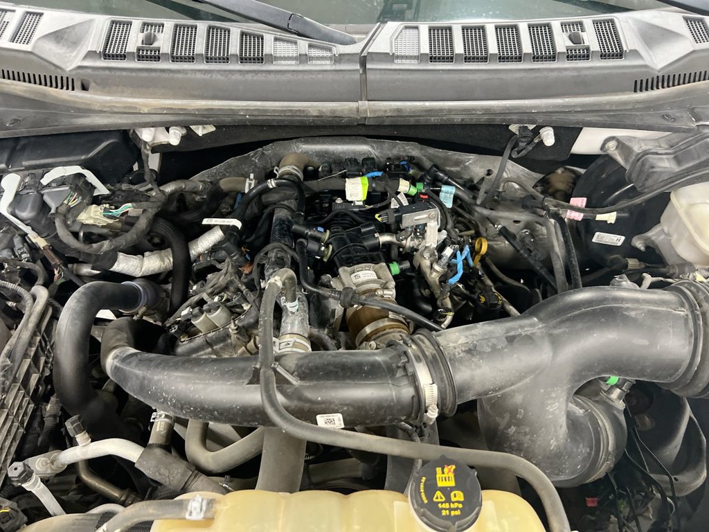 Used 2019 Ford F150 XLT w/ XTR Package AWD/4WD image 24
