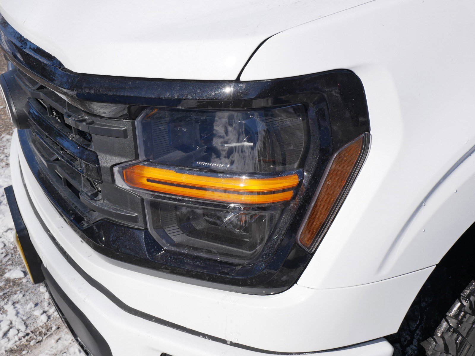 New 2024 Ford F150 XLT w/ Equipment Group 302A MID image 16