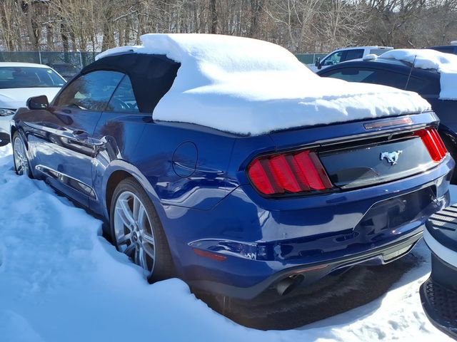 Used 2016 Ford Mustang Premium w/ Equipment Group 201A image 3