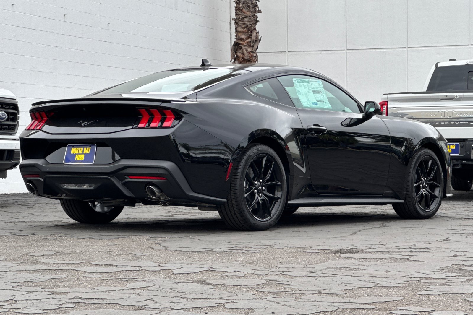 New 2026 Ford Mustang Premium w/ Mustang Nite Pony Package RWD image 3