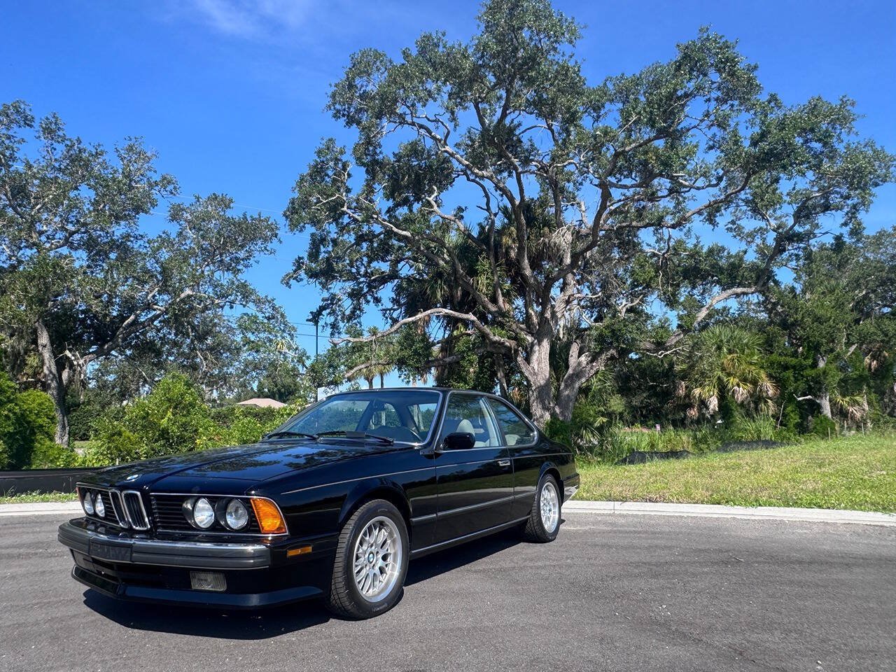 Used 1988 BMW 635CSi Coupe RWD image 2