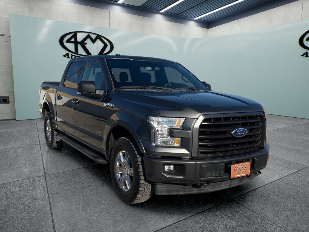Used 2017 Ford F150 XLT w/ Equipment Group 302A Luxury AWD/4WD image 1
