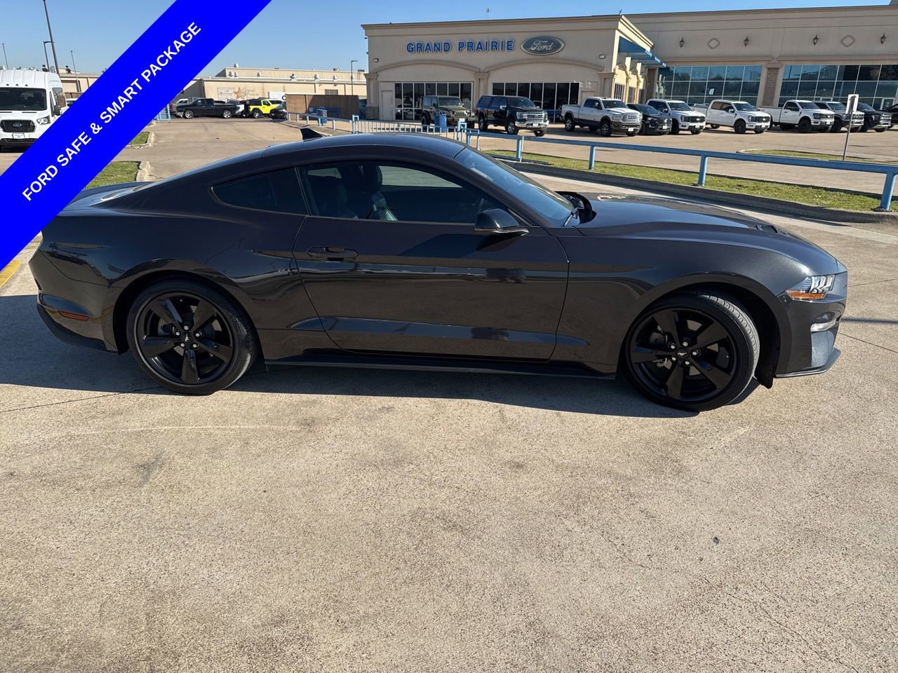 Used 2023 Ford Mustang Premium w/ Equipment Group 201A image 15