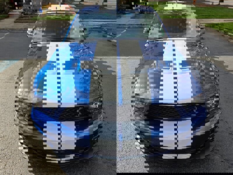 Used 2008 Ford Mustang Shelby GT500 image 70