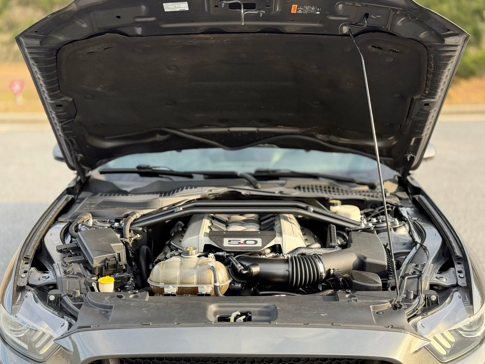 Used 2017 Ford Mustang GT Premium w/ Equipment Group 401A image 44