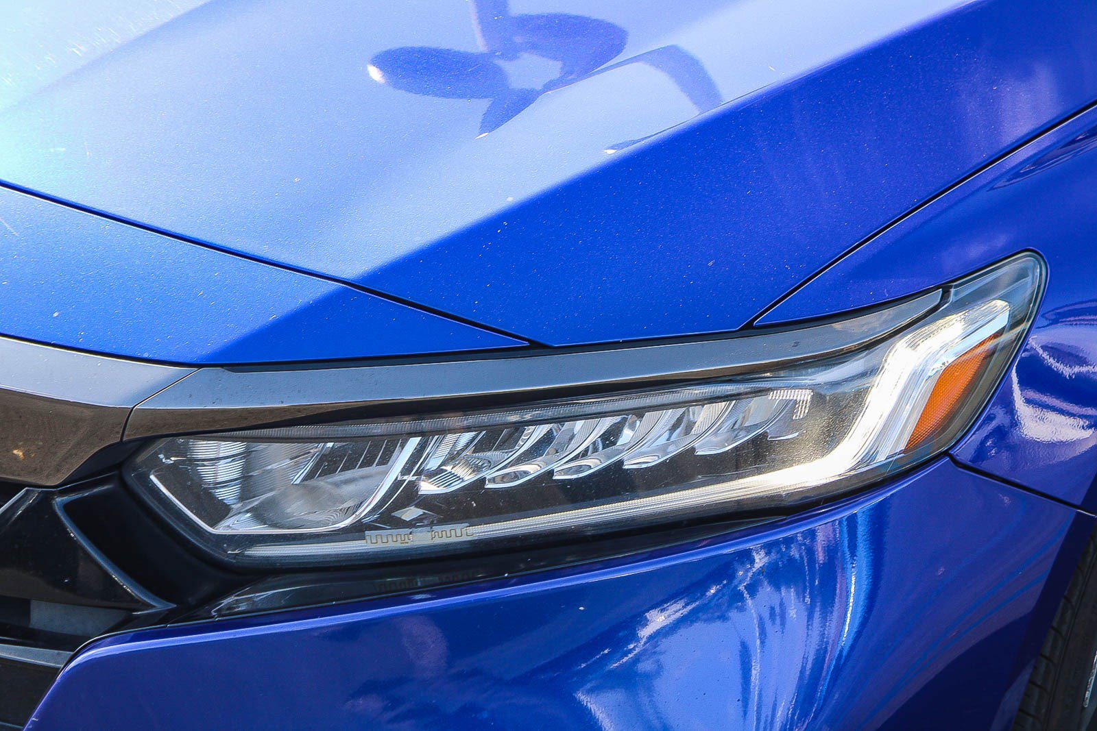 Certified 2020 Honda Accord Sport image 5