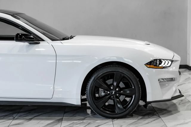 Used 2023 Ford Mustang Premium w/ Mustang Nite Pony Package RWD image 9