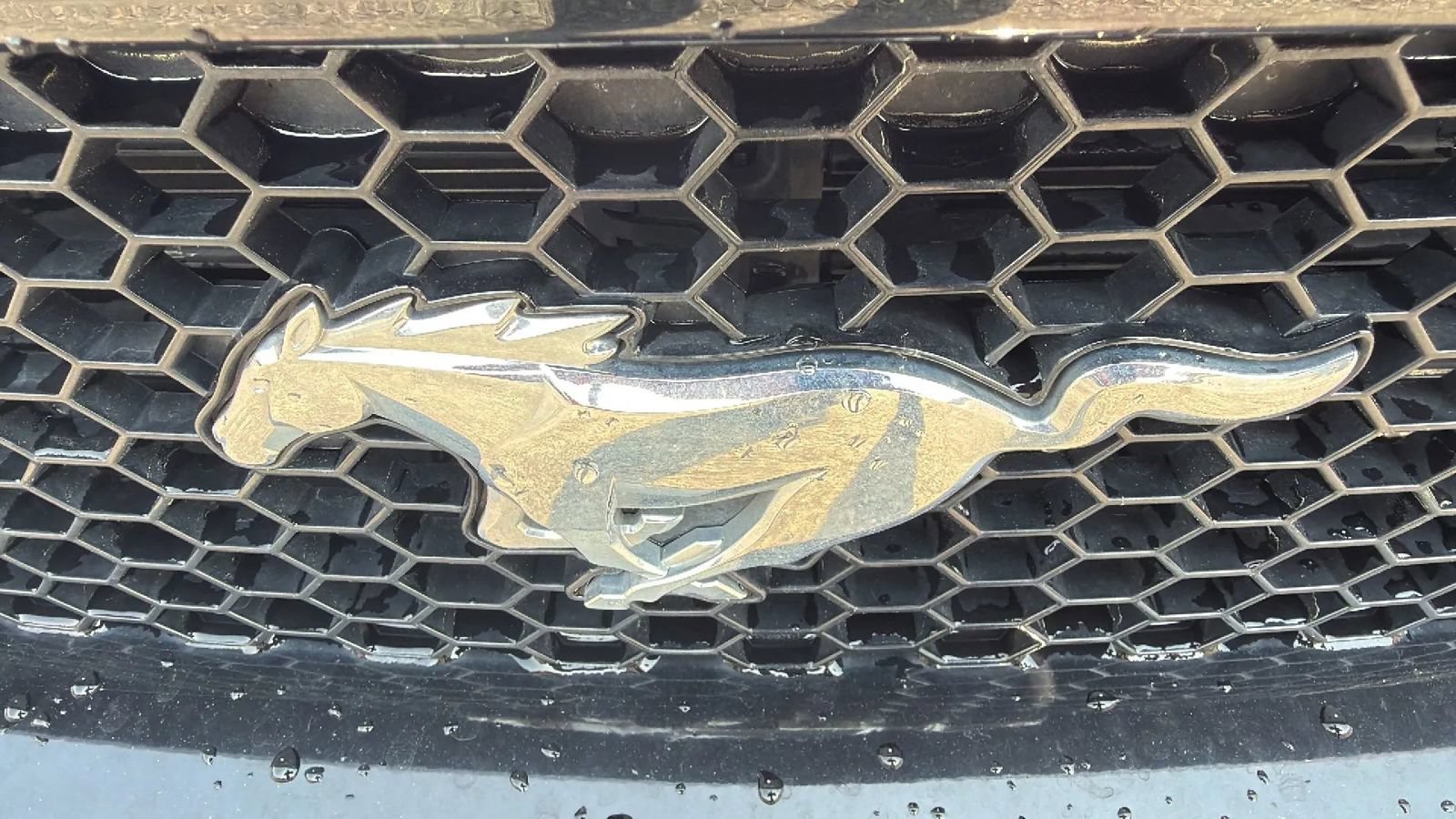 Used 2019 Ford Mustang GT w/ Equipment Group 301A RWD image 9