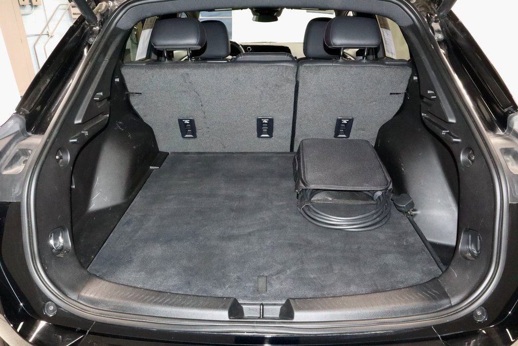 Used 2024 Chevrolet Equinox EV RS image 14