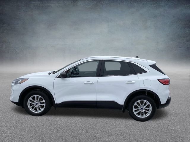 Used 2022 Ford Escape SE image 3