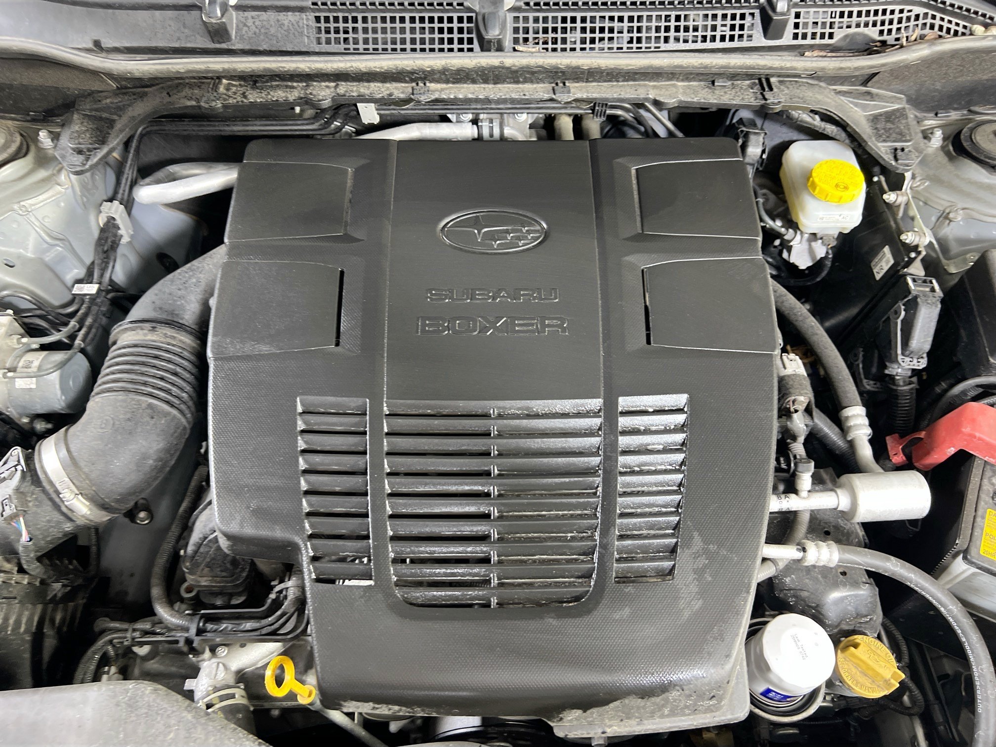 Used 2023 Subaru Forester Wilderness AWD/4WD image 29
