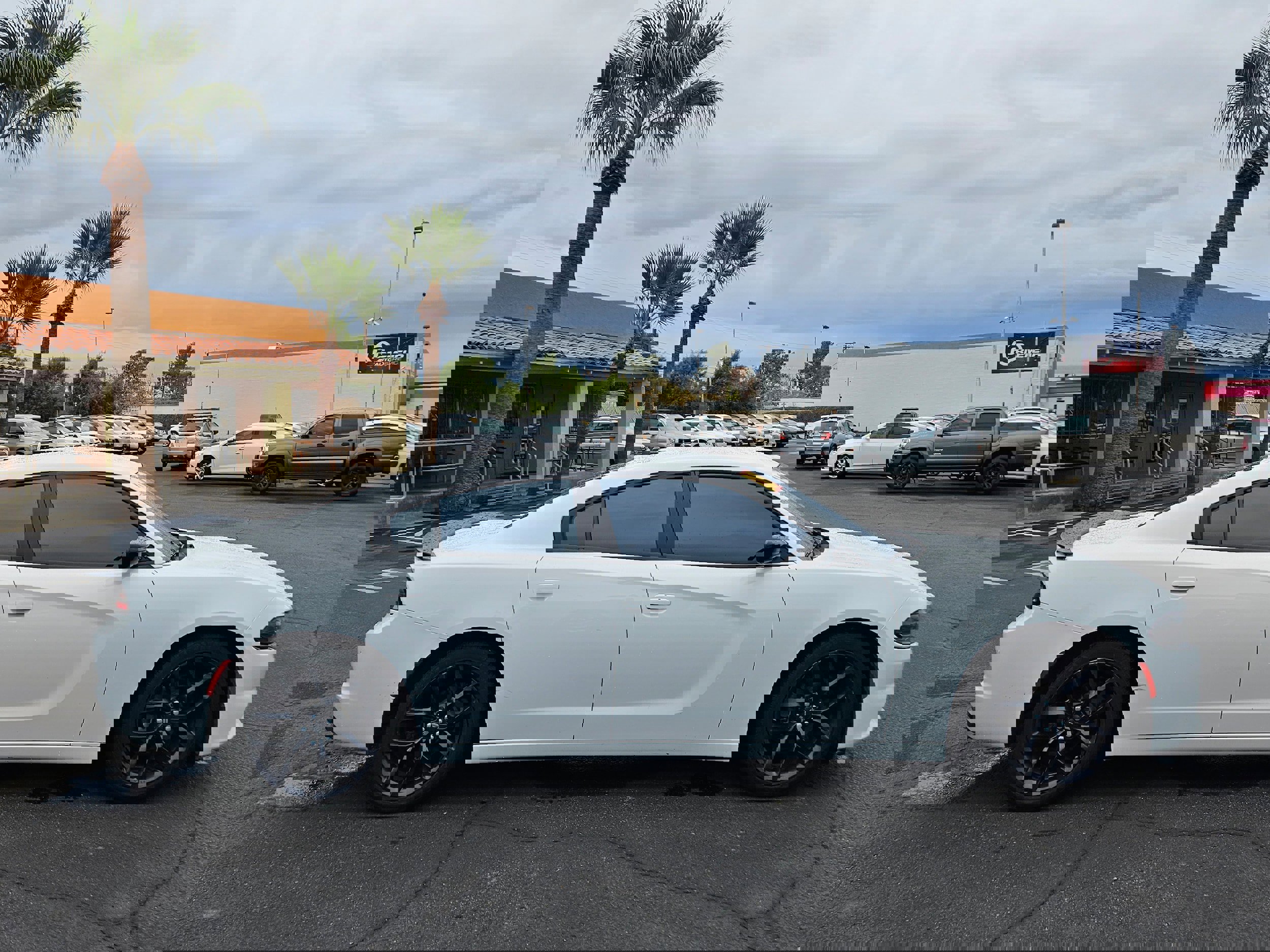 Used 2020 Dodge Charger SXT w/ Blacktop Package image 6