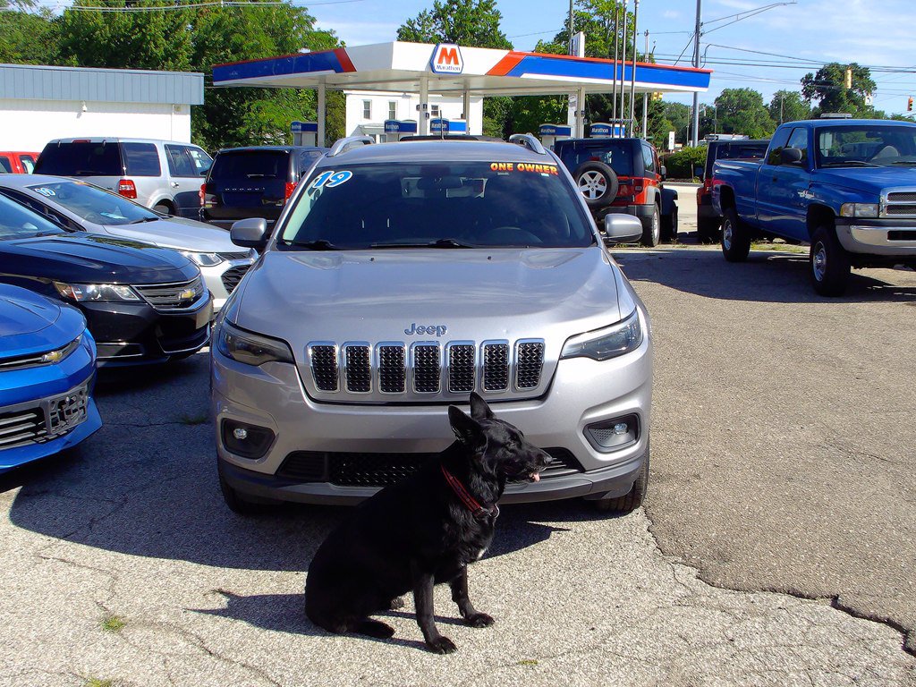Used 2019 Jeep Cherokee Latitude w/ Popular Appearance Group AWD/4WD image 2