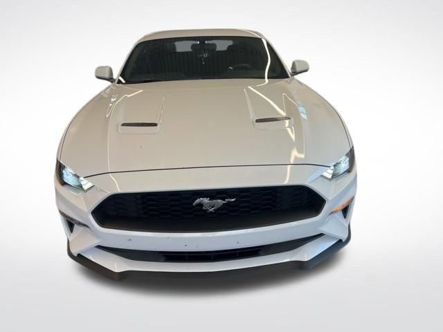 Used 2019 Ford Mustang Coupe image 3