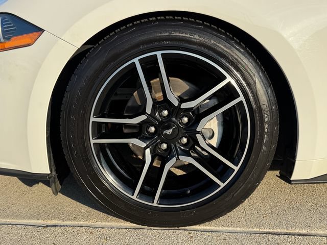 Used 2019 Ford Mustang Premium w/ Equipment Group 201A RWD image 9