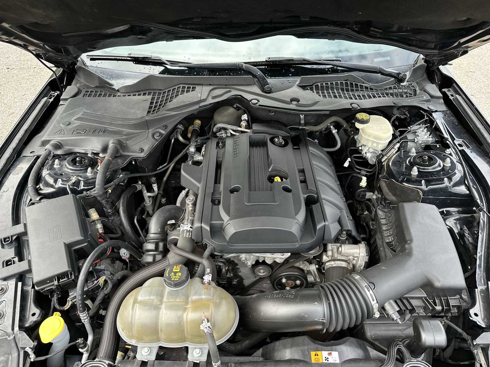 Used 2017 Ford Mustang Premium image 13