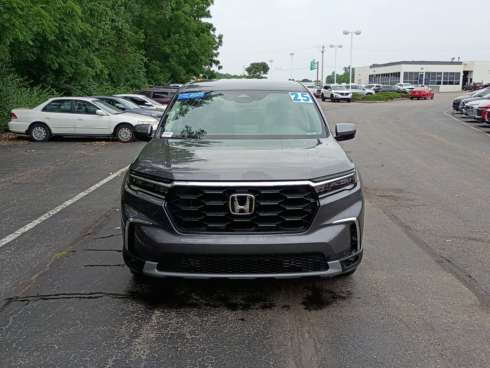 Certified 2025 Honda Pilot EX-L image 7