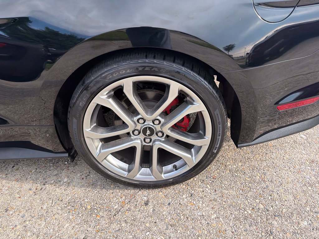 Used 2018 Ford Mustang GT Premium w/ Equipment Group 401A RWD image 19