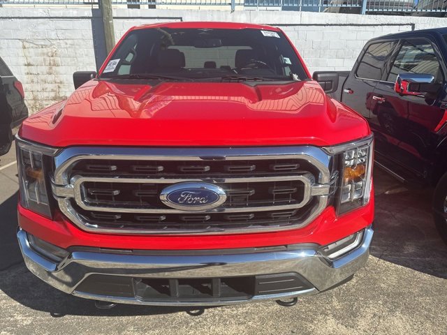 Used 2023 Ford F150 XLT w/ Equipment Group 302A High image 2