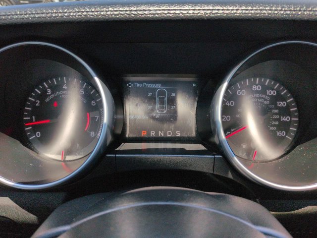Used 2019 Ford Mustang Coupe RWD image 24