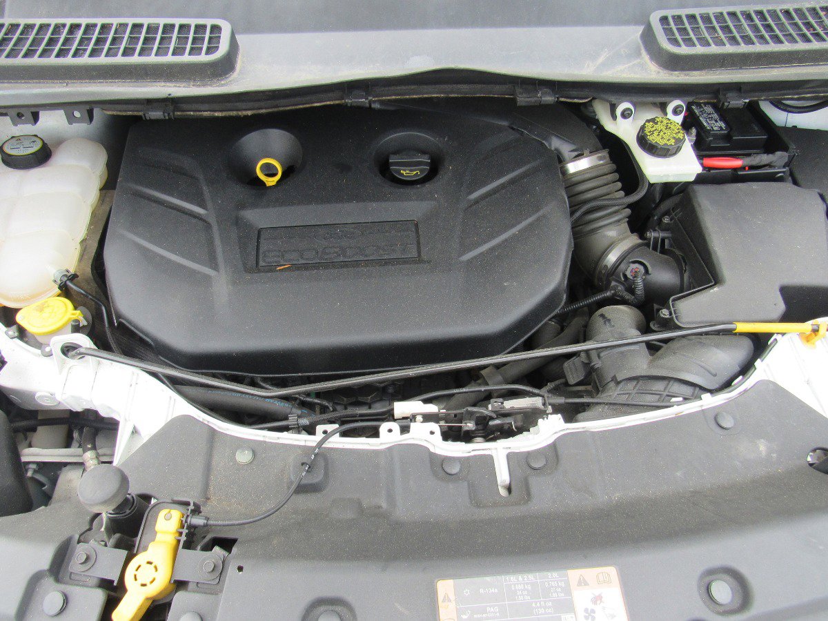 Used 2014 Ford Escape SE image 11