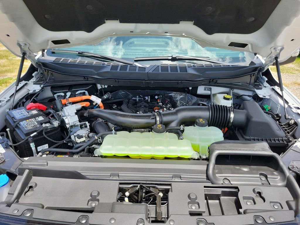 New 2025 Ford F150 XLT w/ Equipment Group 302A MID image 25