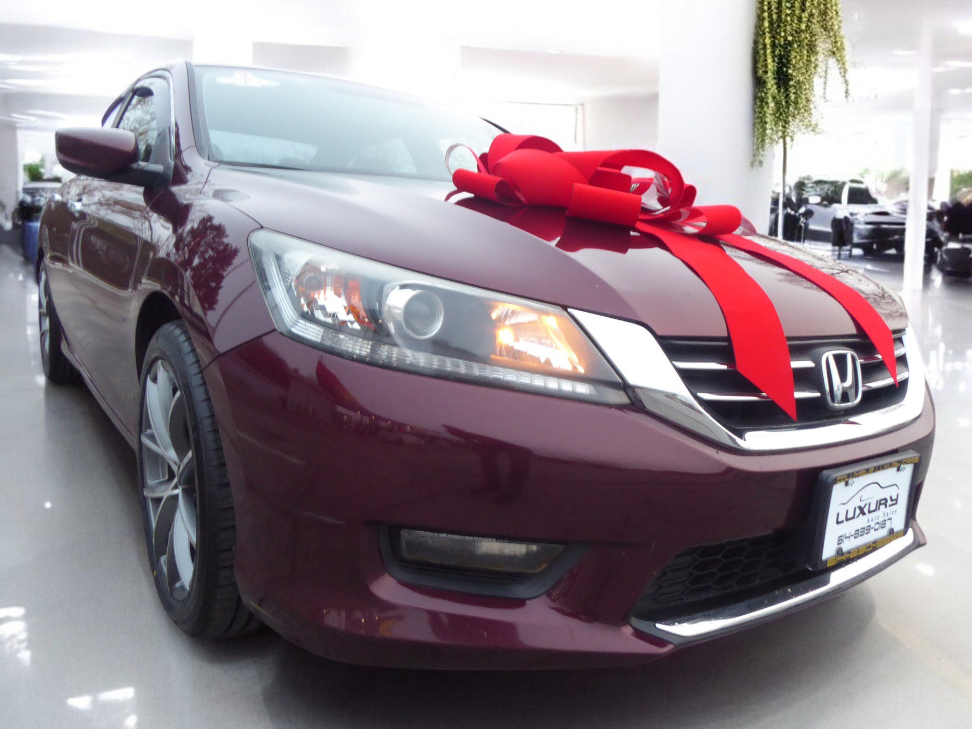 Used 2015 Honda Accord Sport image 3