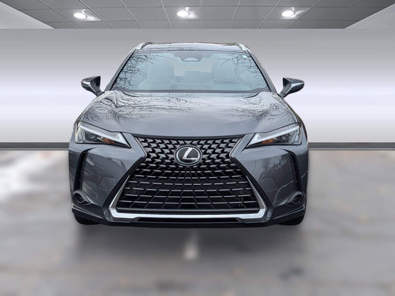 New 2025 Lexus UX 300h AWD image 6