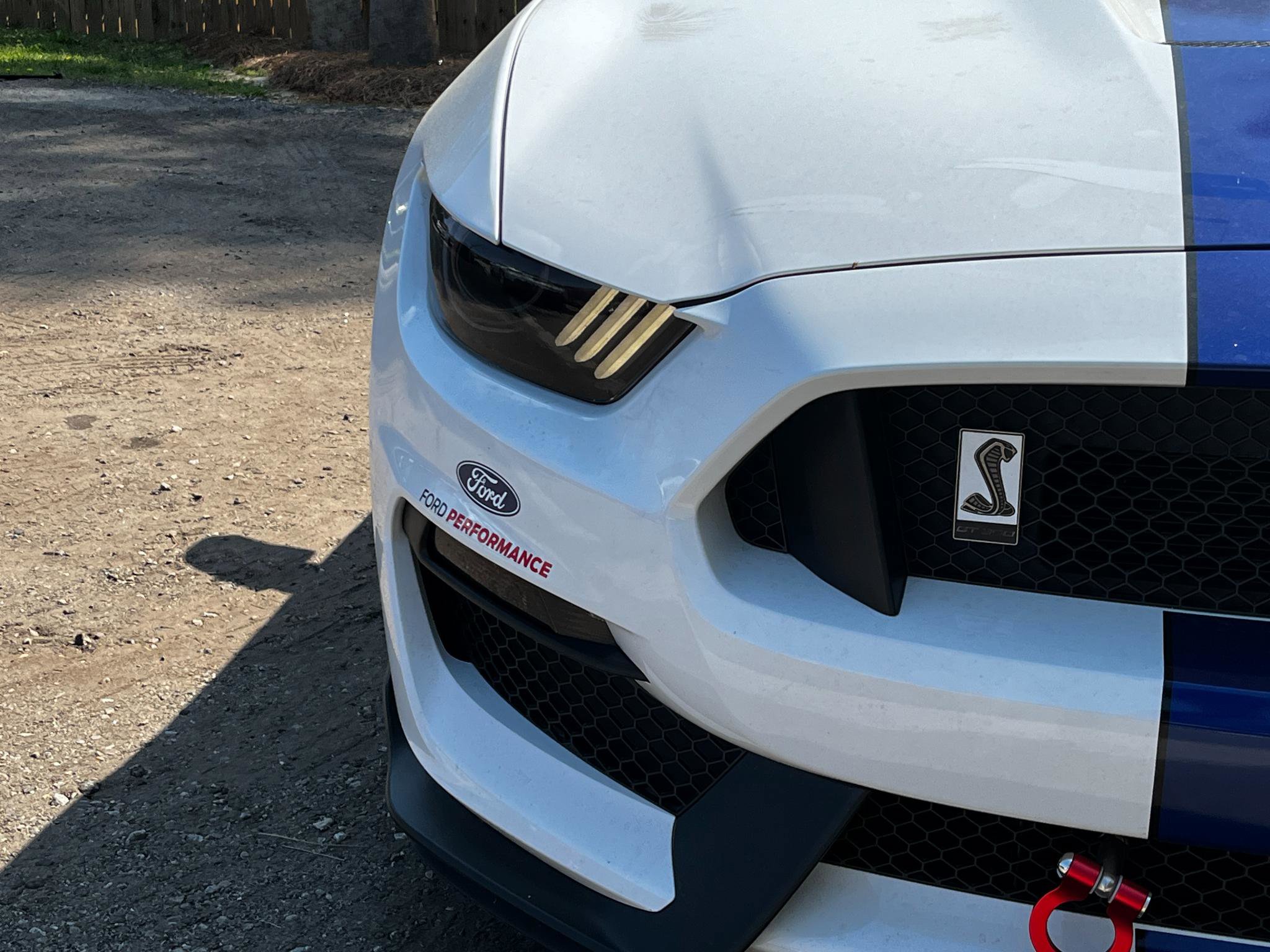 Used 2016 Ford Mustang Shelby GT350 w/ Technology Package image 19