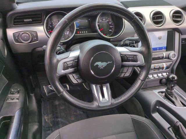 Certified 2022 Ford Mustang GT w/ Equipment Group 301A RWD image 14