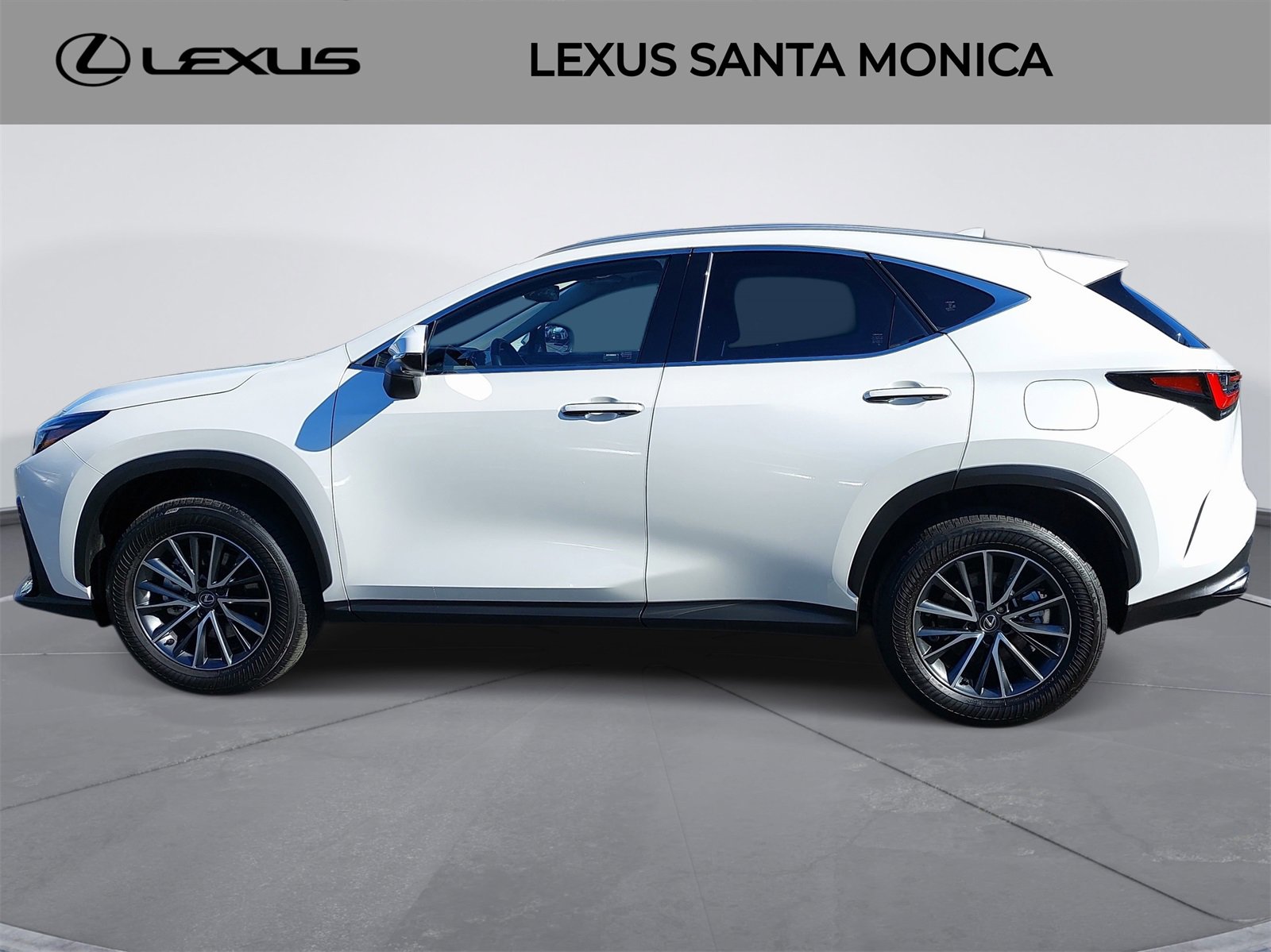 Used 2025 Lexus NX 350h AWD w/ Premium Package image 8