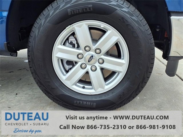 Used 2024 Ford F150 XL w/ Equipment Group 103A High image 2