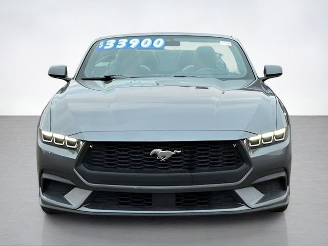 Certified 2025 Ford Mustang Premium image 8