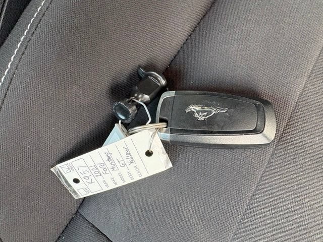 Used 2021 Ford Mustang GT w/ Equipment Group 301A RWD image 6