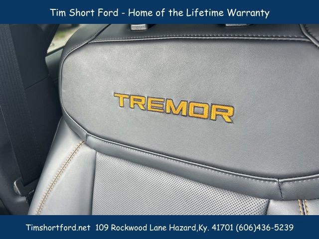 New 2025 Ford Expedition Tremor image 20
