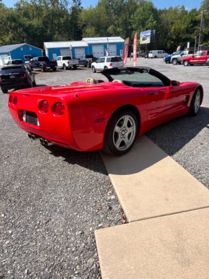 Used 1999 Chevrolet Corvette Convertible image 5