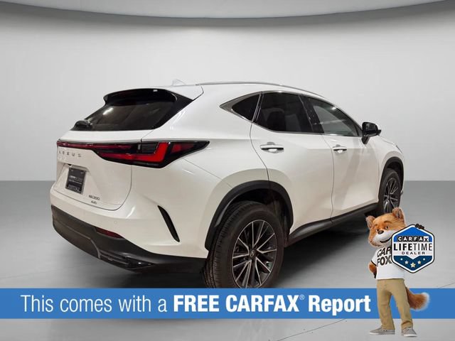 Certified 2026 Lexus NX 350 AWD w/ Cold Area Package image 4