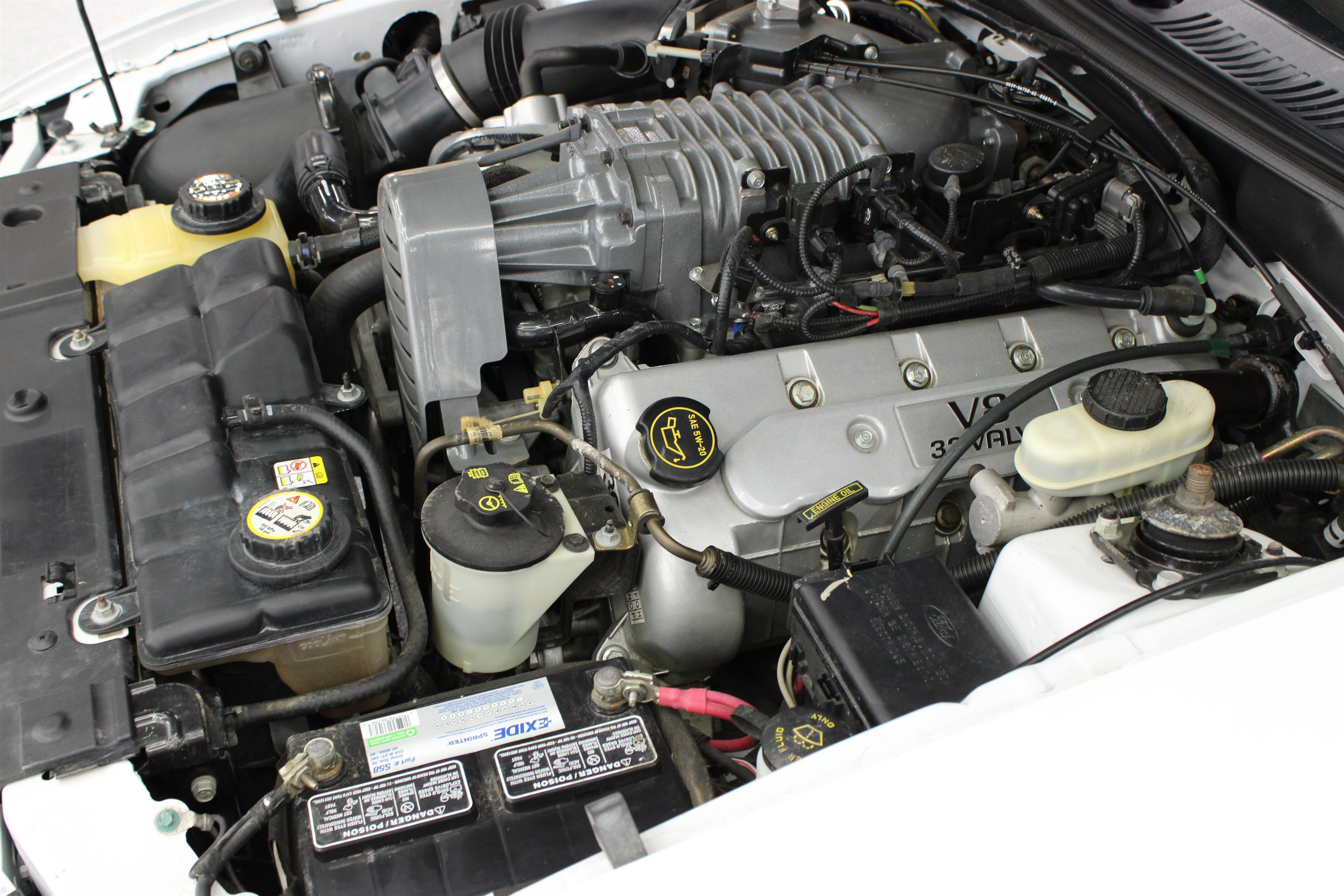 Used 2004 Ford Mustang Cobra RWD image 31