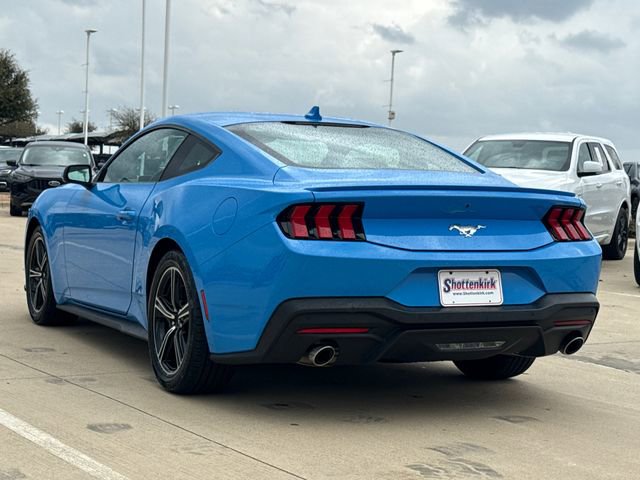 Used 2024 Ford Mustang Premium image 6