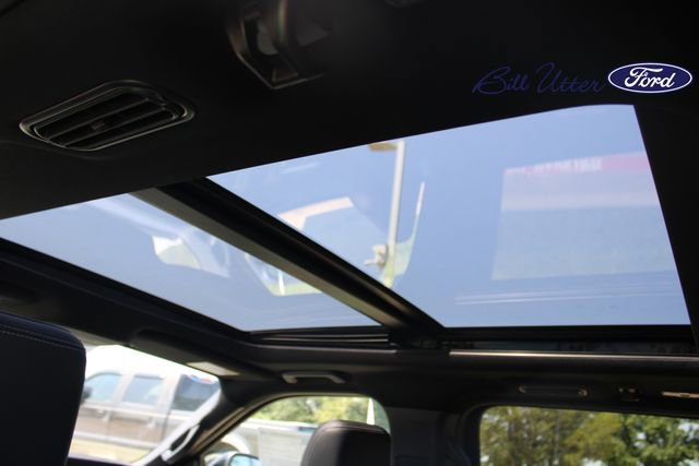 New 2025 Ford Expedition Platinum w/ Stealth Appearance Package image 12