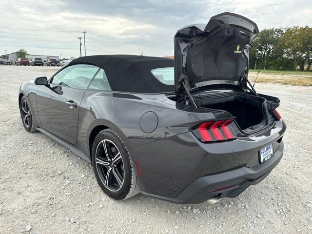 Used 2024 Ford Mustang Premium RWD image 4
