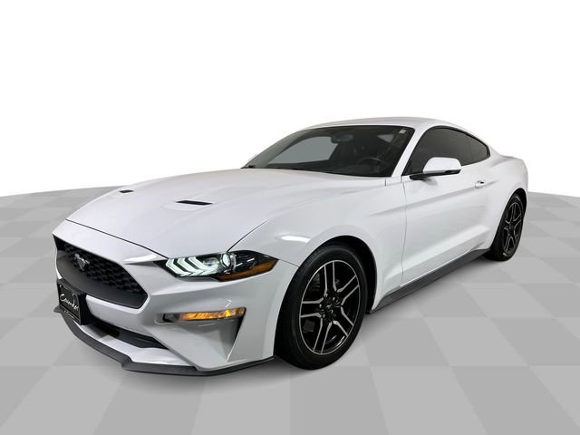 Used 2019 Ford Mustang Premium w/ Equipment Group 201A