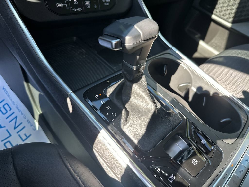 New 2025 Kia Carnival SX Prestige image 22